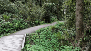 Forest Park Portland, OR