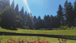 Washington Park Portland, OR