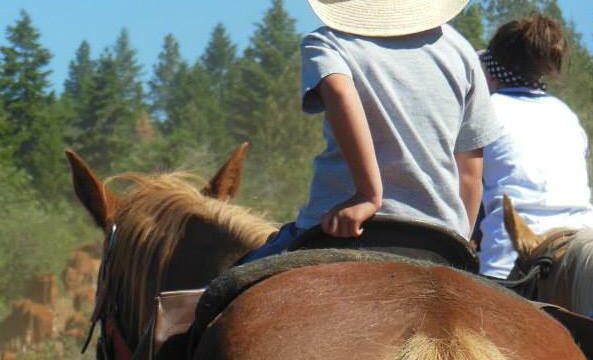 Pre-teen riding horse